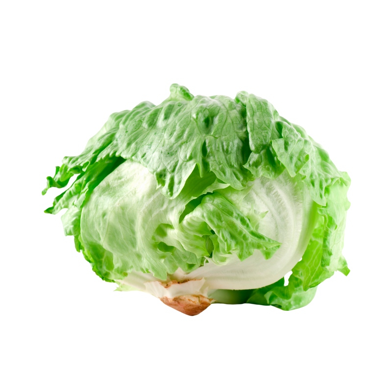 Salador